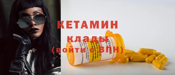 хмурый Няндома